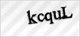 CAPTCHA security code